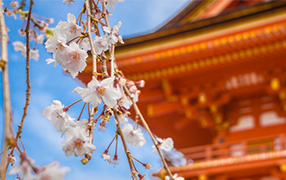 村鎮污水處理市場前景可觀，未來千億規模值得把握！-