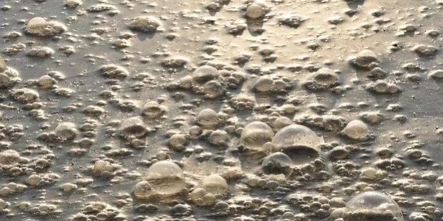 污水廠內(nèi)的生物氣溶膠怎么產(chǎn)生，污水從業(yè)人員如何做好防護(hù)？-