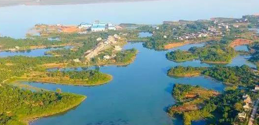 不斷加速的淘汰賽中，泵管閥“后浪們”為活下去而戰(zhàn)！