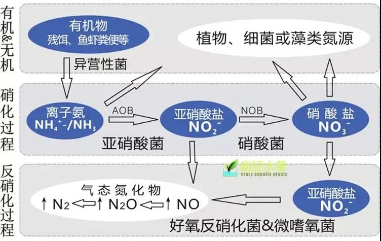 面對低濃度氨氮工業廢水束手無策？這幾種方法可以解決-