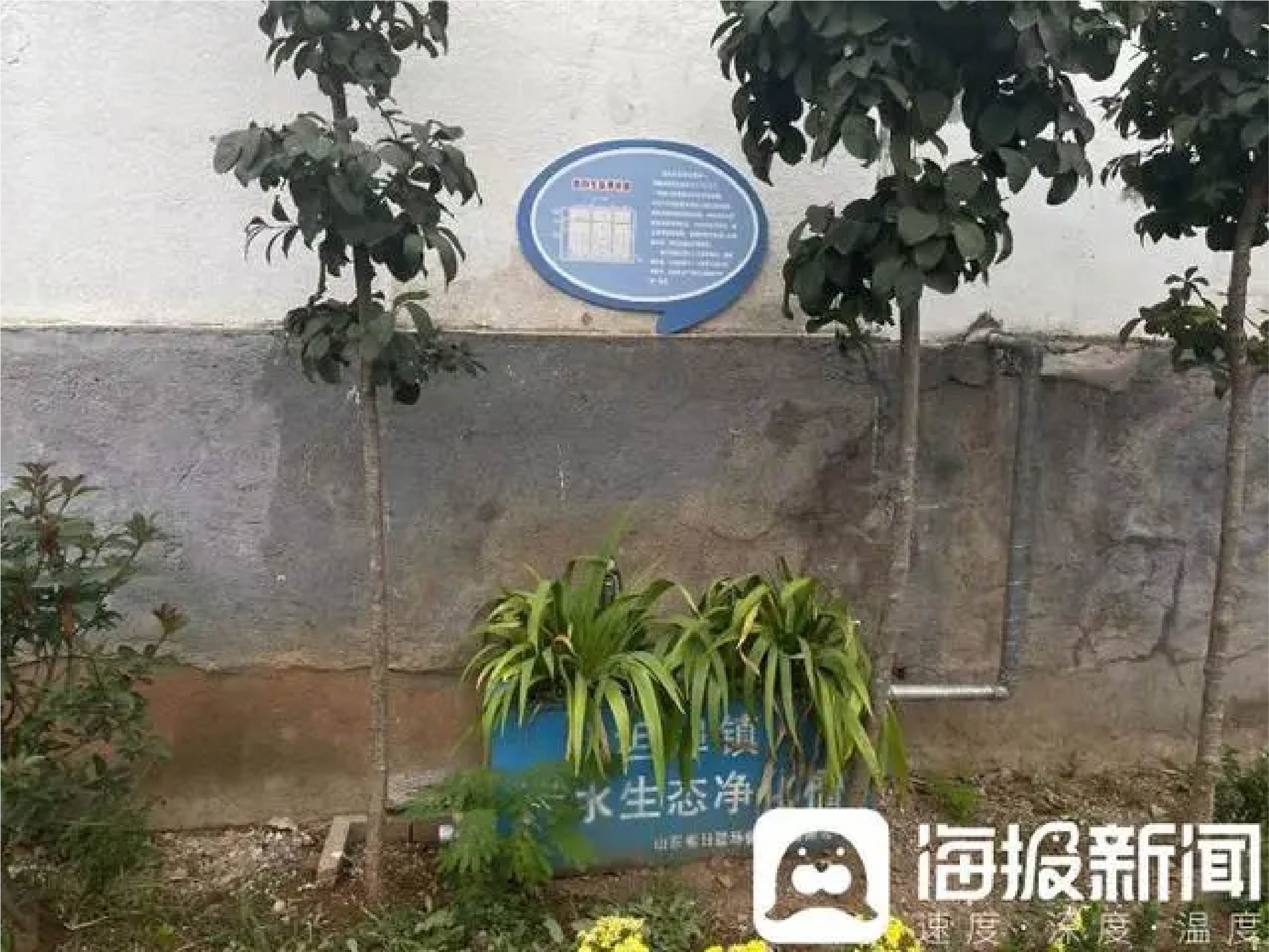 推進生活污水處理｜廢水變“肥水”，臨沂因地制宜治污水-