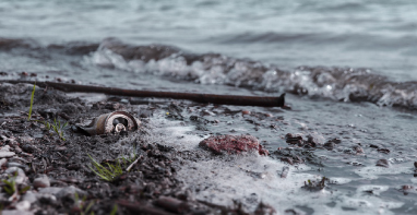 103條黑臭水體！江蘇2024年全省農村環境整治工作計劃！